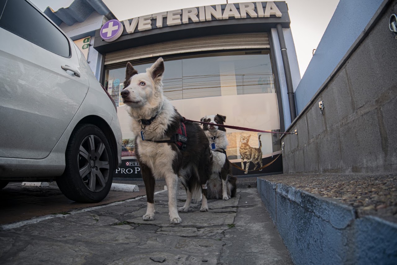 Fachada principal y acceso de la Clínica Veterinaria de Las Cabañas