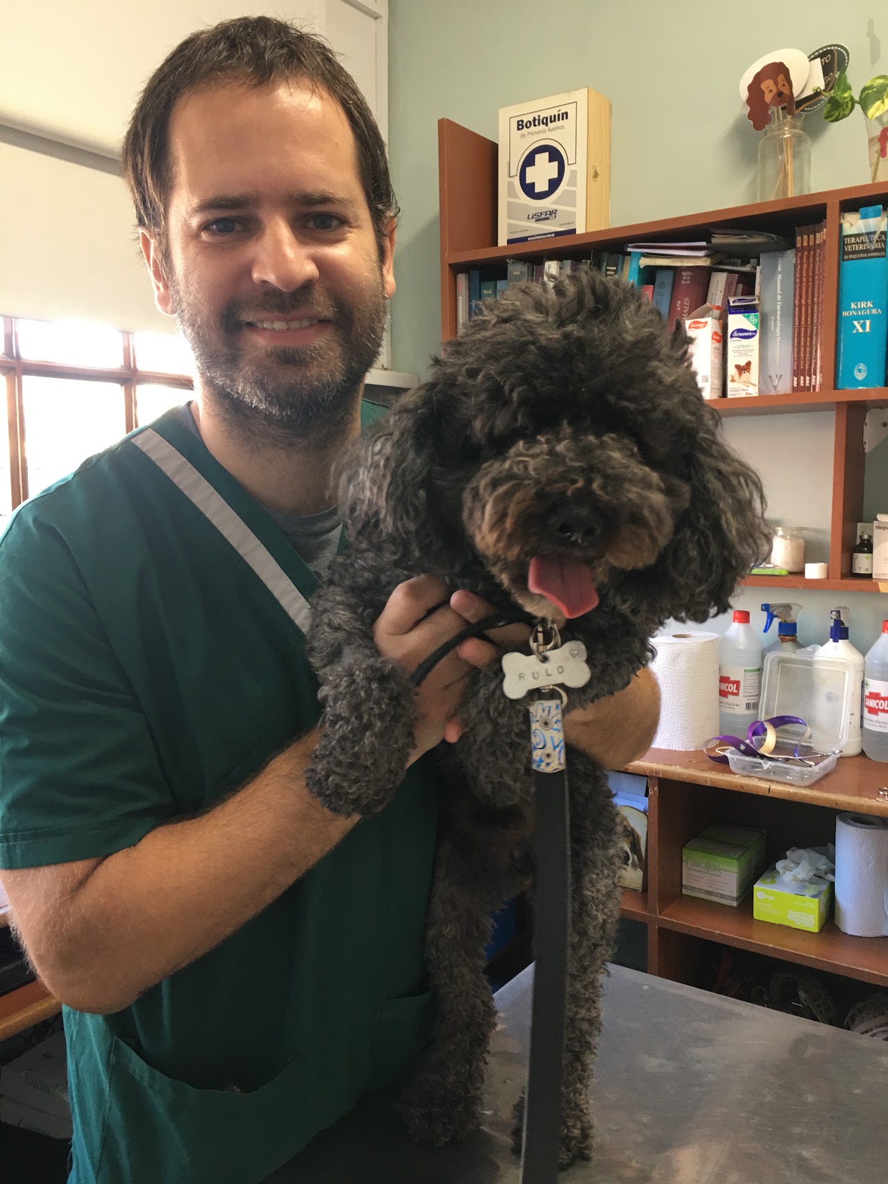 Veterinario atendiendo a gato con estetoscopio en ambiente tranquilo